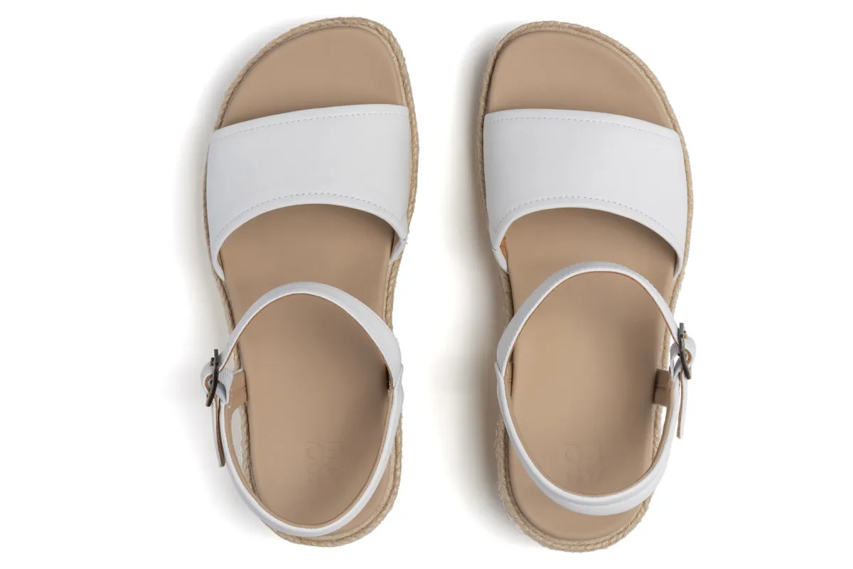 ABEO Solstice Buckle Sandal-Women Standard | Education