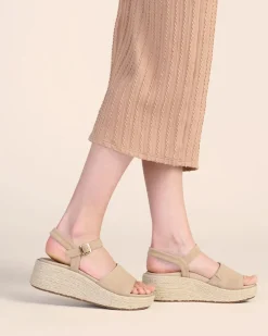 ABEO Solstice Buckle Sandal Metatarsal-Women Standard | Education