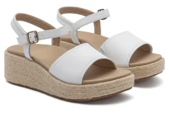 ABEO Solstice Buckle Sandal-Women Standard | Education