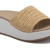 ABEO Solstice Slide Metatarsal-Women Standard | Education