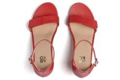 ABEO Tempo Strap-Women Standard | Education