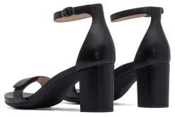 ABEO Tempo Strap-Women Standard | Education