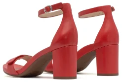 ABEO Tempo Strap Metatarsal-Women Standard | Education