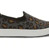 Align Cosmic-Women Standard | Wide