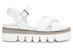 ara Forest Hills-Women Standard | Sandals