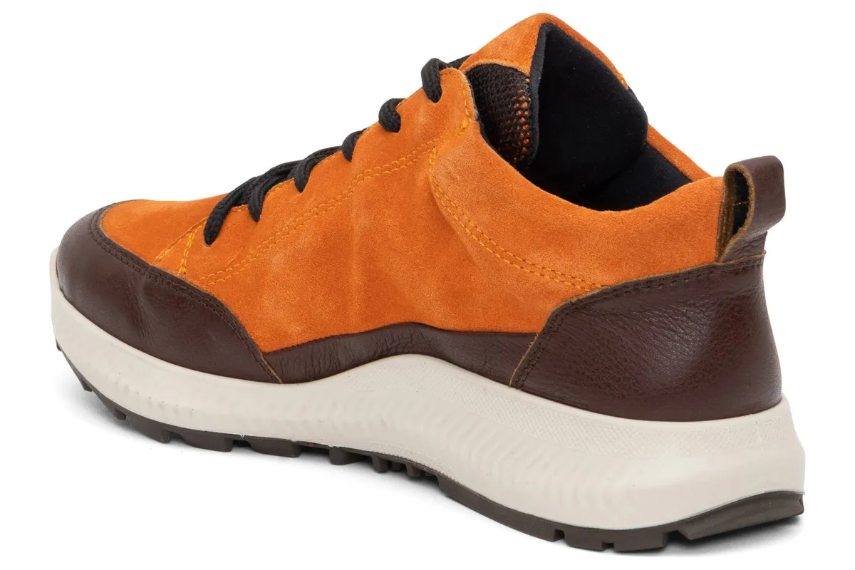 ara Highland-Women Standard | Boots