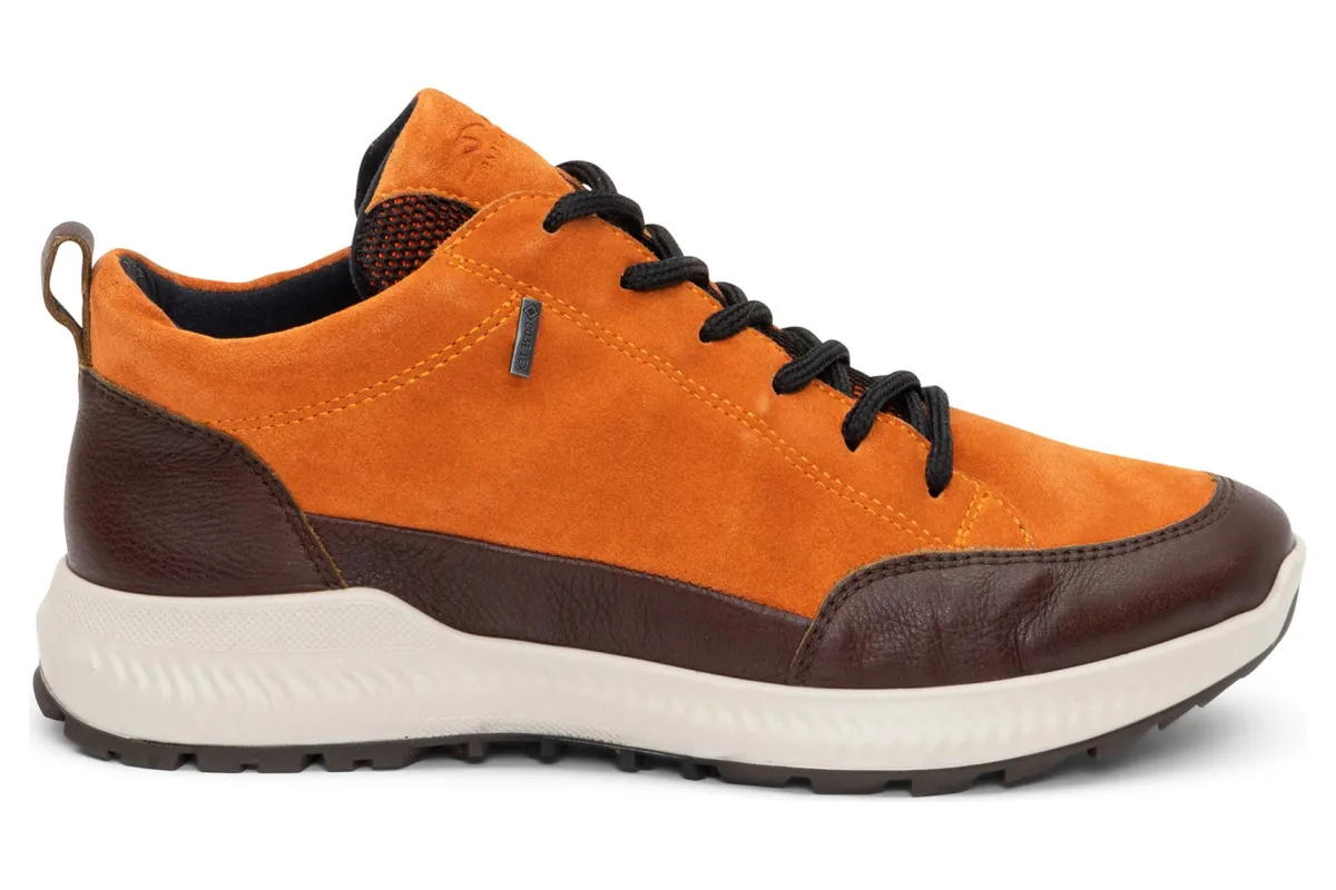 ara Highland-Women Standard | Boots
