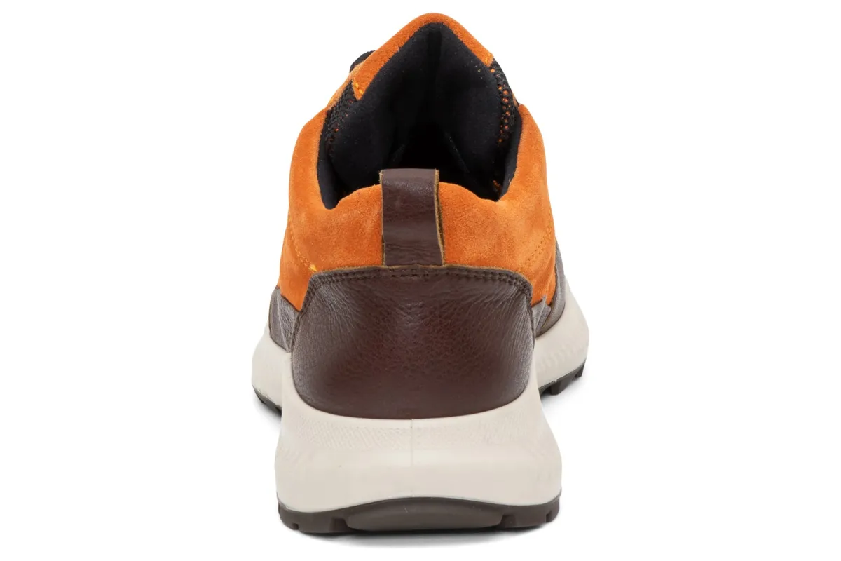 ara Highland-Women Standard | Boots