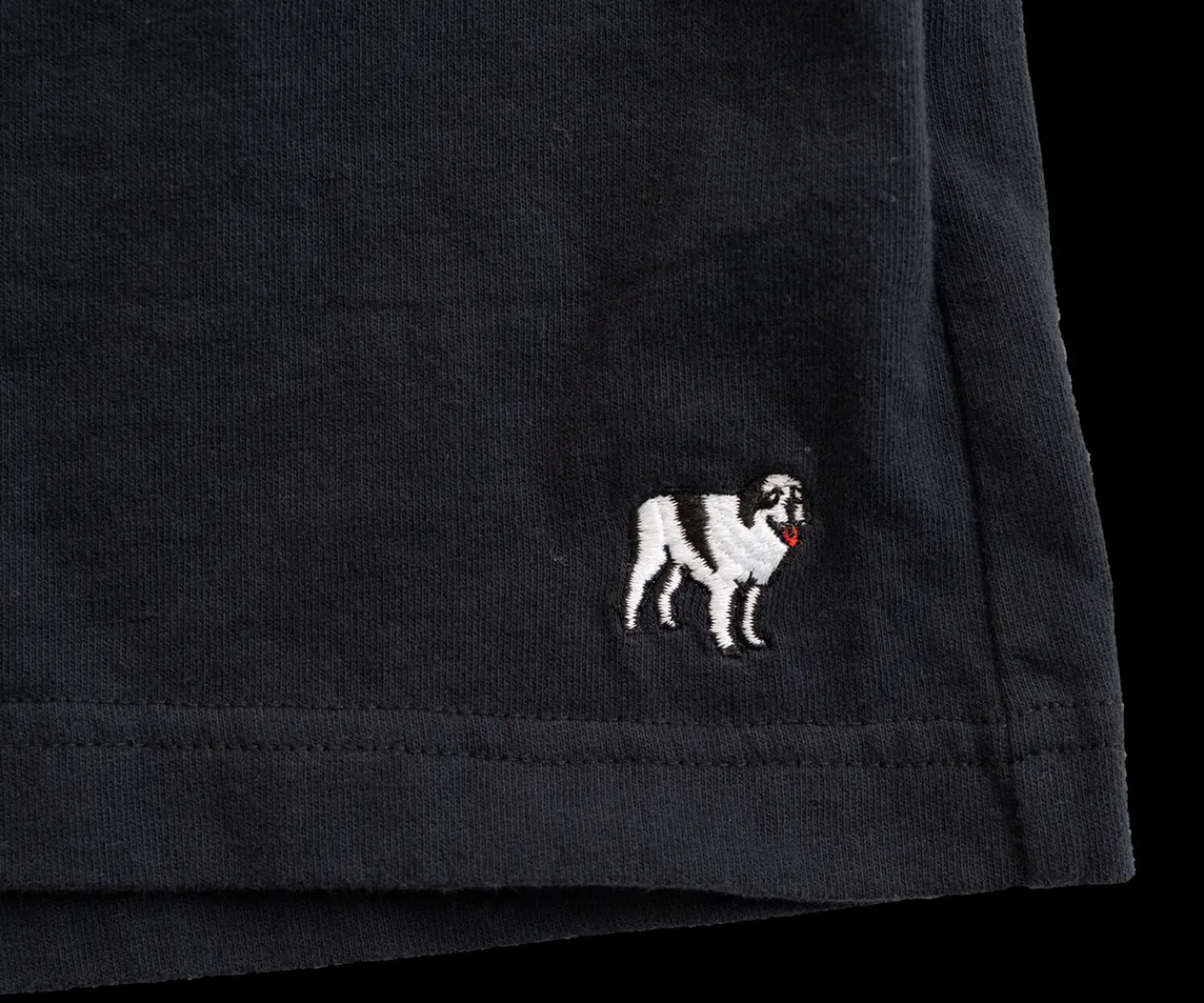 Big Dogs Classic Knit Shorts- Medium