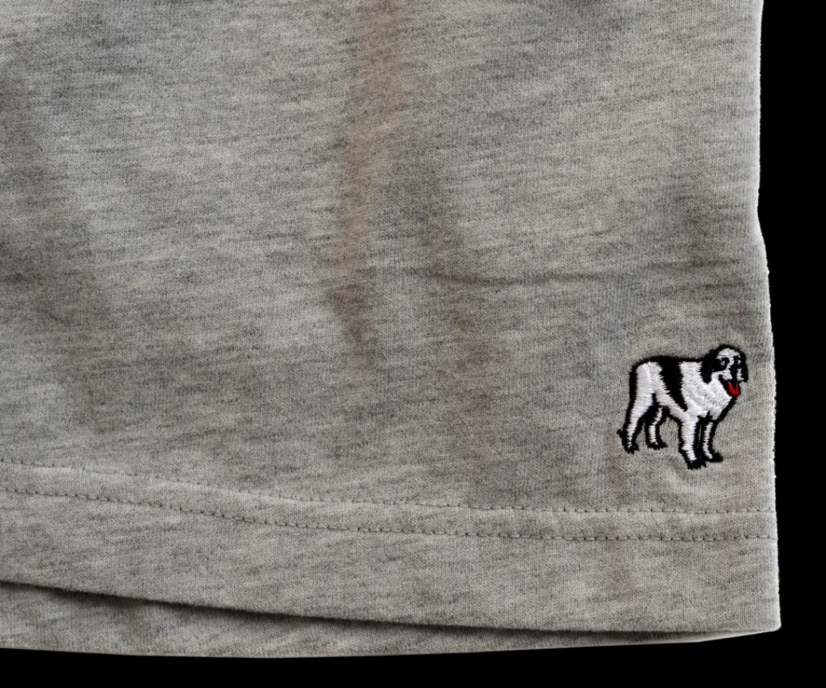 Big Dogs Classic Knit Shorts- Medium