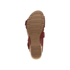 Dansko Trinity-Women Education | Travel