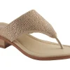 David Tate Perlata-Women Standard | Wide