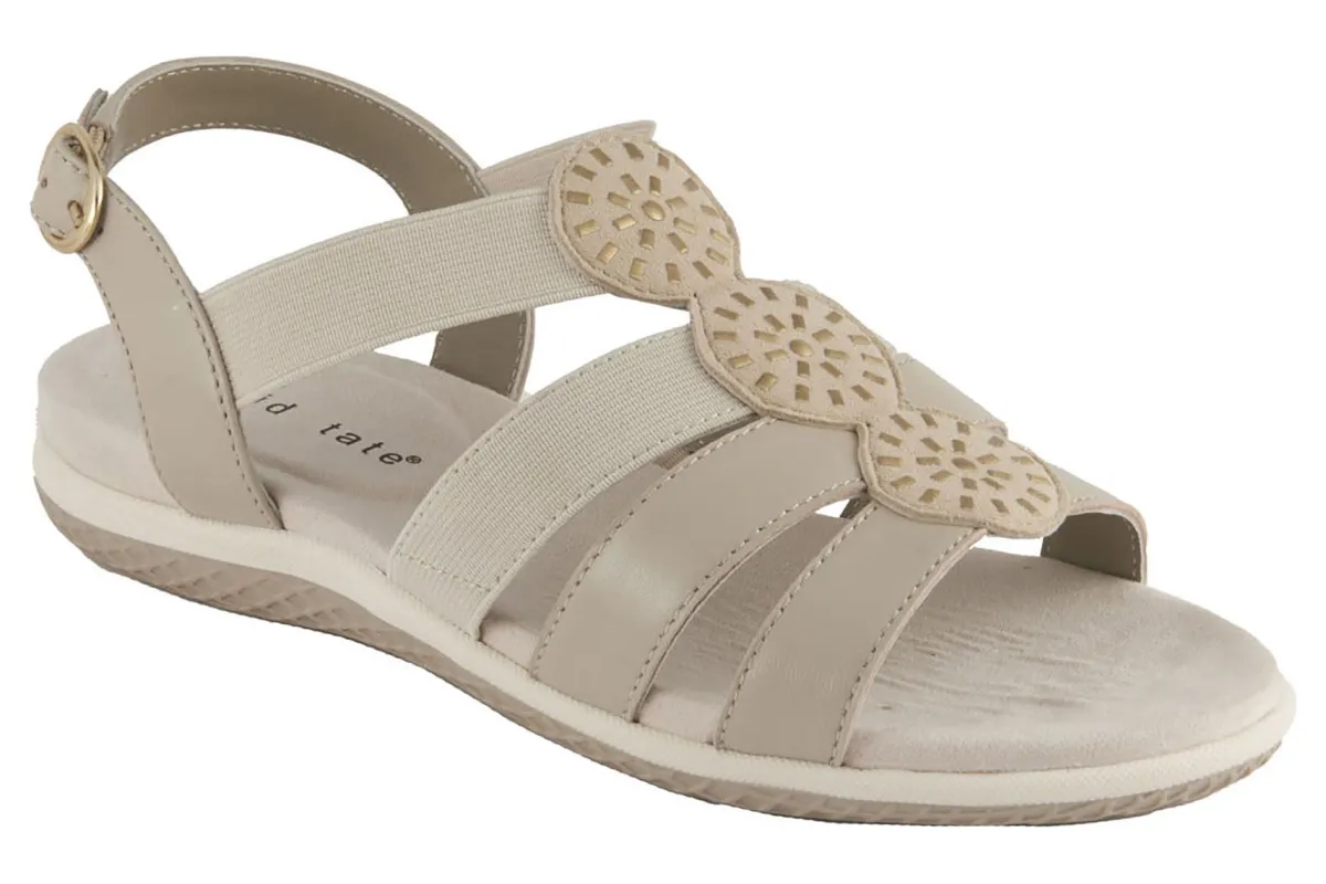David Tate Quilt-Women Standard | Extra Wide