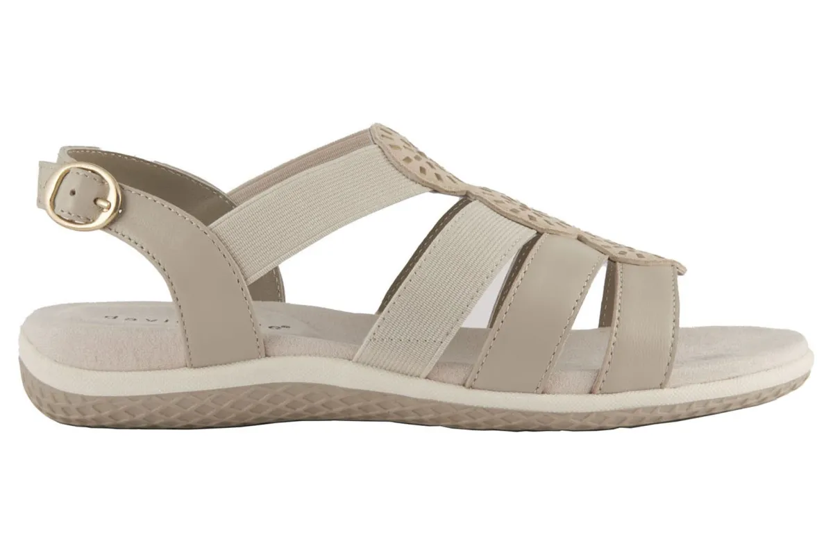 David Tate Quilt-Women Standard | Extra Wide