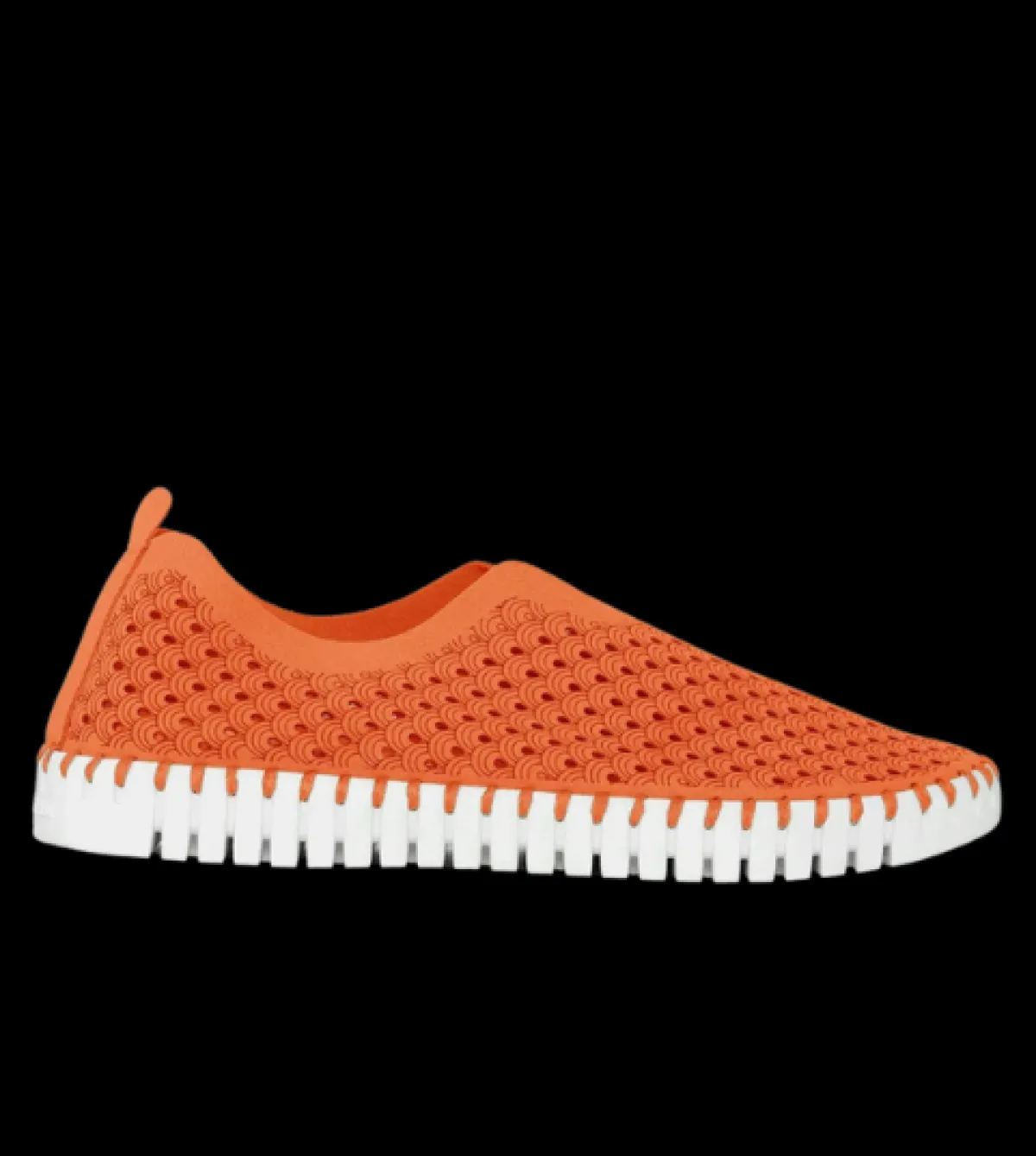 Ilse Jacobsen Tulip139-Women Standard | Casual Shoes