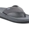 KLLY Lunar-Women Standard | Sandals