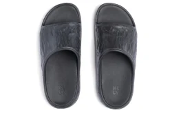 KLLY Rover W-Women Standard | Active
