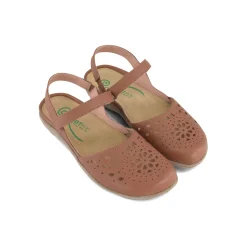 Naot Arataki-Women Standard | Education