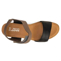 Naot Summer-Women Standard | Sandals