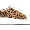 Sofft Fianna-Women Standard | Casual Shoes