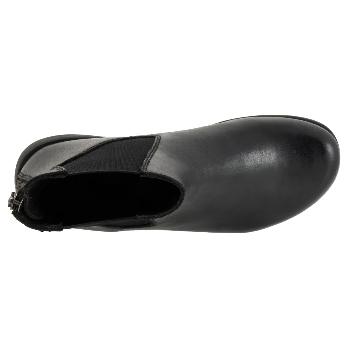 Softwalk Albany-Women Narrow | Standard