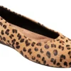 Softwalk Sonoma-Women Standard | Extra Wide