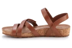 Walking Cradles Pool-Women Standard | Extra Wide
