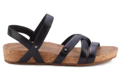 Walking Cradles Pool-Women Standard | Extra Wide
